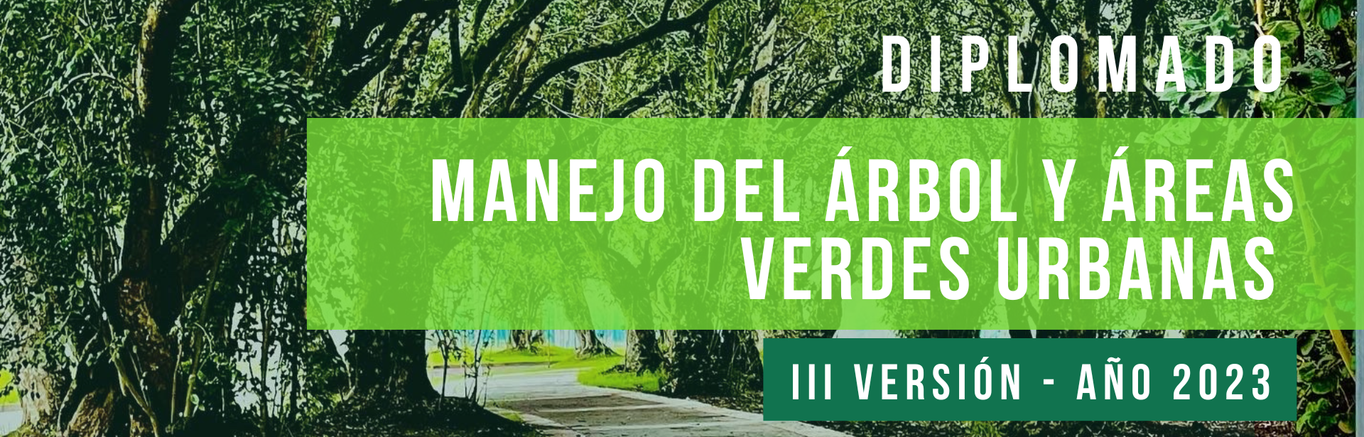 MANEJO DEL ÁRBOL Y ÁREAS VERDES URBANAS 2023